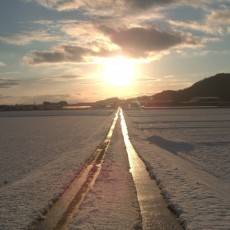 面接官に同じ絵を見てもらうと、伝わる度が高まり、内定に近づきます