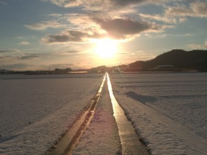 太陽に向かう一本道