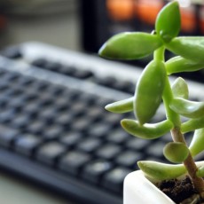 前向きな気持ちで進められるような気がします【30代男性のお客様】