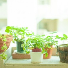 もう少し頑張れるかもしれない…と少し気持ちが明るくなりました【30代女性のお客様】 もう少し頑張れるかもしれない…と少し気持ちが明るくなりました【30代女性のお客様】