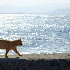 6月で退職される方で、まだ転職先が決まっていない方へ
