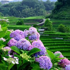 見え方がパッと変わったような気がしました【40代女性のお客様】 見え方がパッと変わったような気がしました【40代女性のお客様】