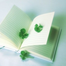 自力では限界を感じたので、西澤さんのお力をお借りしたいと思います【アラフォー女性】 自力では限界を感じたので、西澤さんのお力をお借りしたいと思います【アラフォー女性】