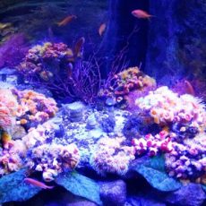 「弱点を武器に」あなたを魅力的に変えるプロデューサーは必要ないですか？