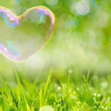 転職成功には、「愛」と「ＰＤＣＡ」が必要なのです