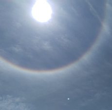 縁起の良いもの 縁起の良いもの